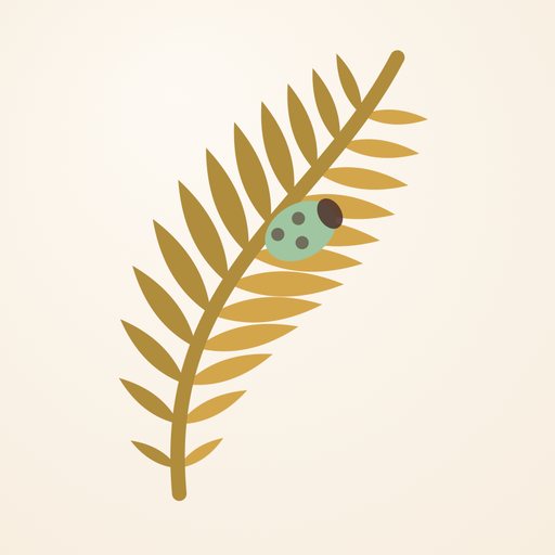 Fernbug
